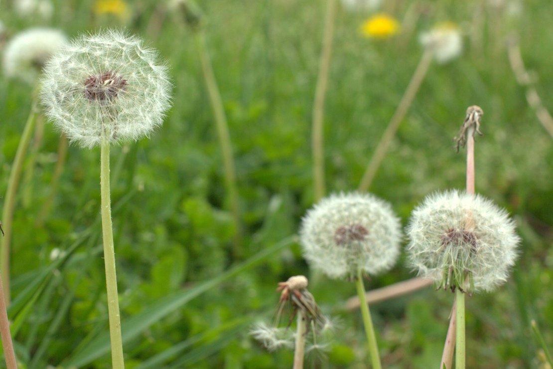 Finishing to never end