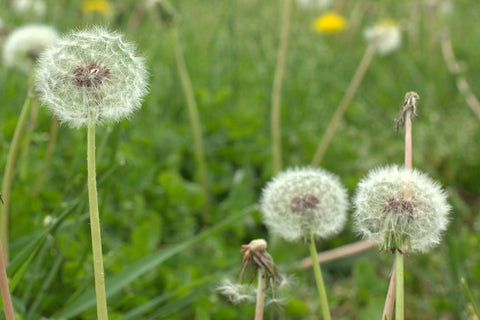 Finishing to never end