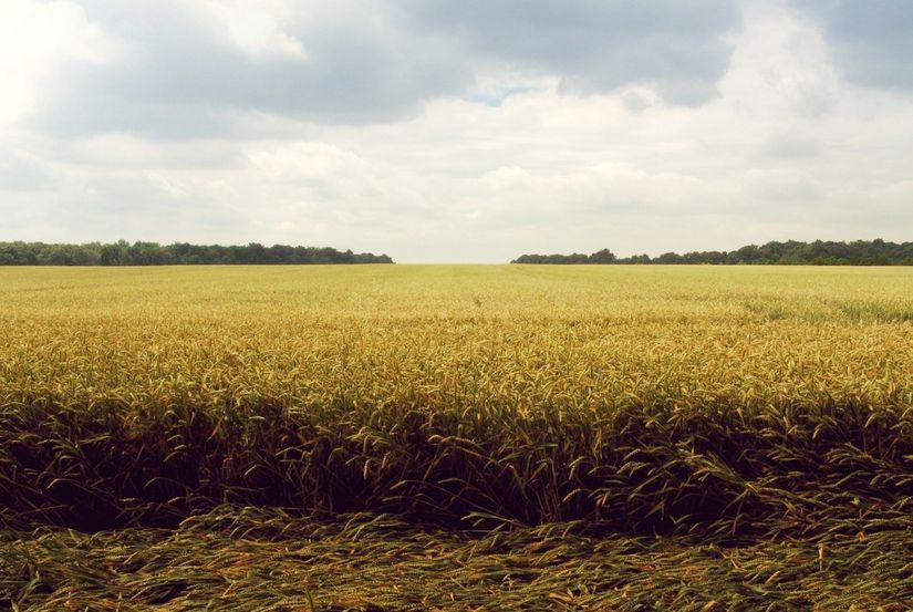 Is your ministry Christlike?