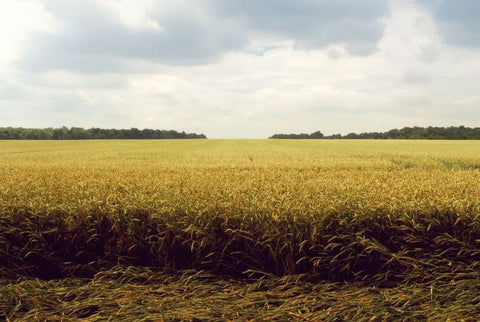 Is your ministry Christlike?