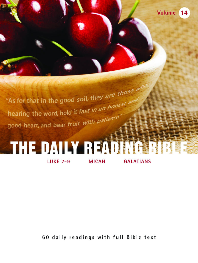 The Daily Reading Bible (Volume 14)